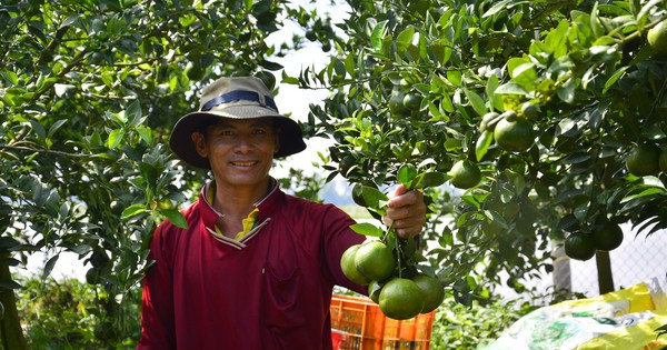 Hội Nông dân Kiên Giang tham gia thực hiện mục tiêu giảm nghèo bền vững bằng các việc cụ thể