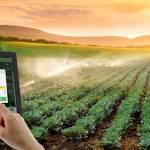 Nông nghiệp Công nghệ cao Profile Picture