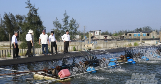 Chuyện về tỷ phú tôm vùng Ngũ Điền