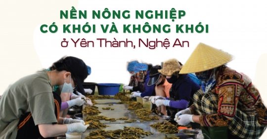 Yên Thành cần kết hợp cả hai nguồn lực trong và ngoài để làm giàu