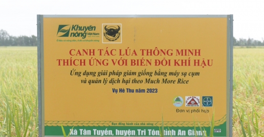 Trình diễn ‘Canh tác lúa thông minh' giảm giống, phân bón, thuốc bảo vệ thực vật