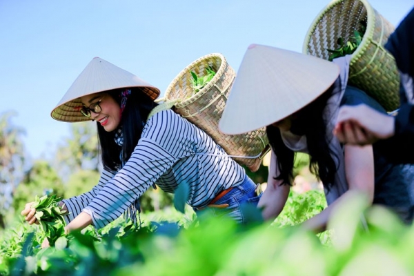 Du lịch nông nghiệp, du lịch nông thôn: Cần đi tìm