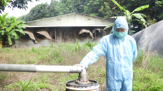 Phát điện từ khí biogas, trại heo tiết kiệm 100 triệu đồng mỗi tháng