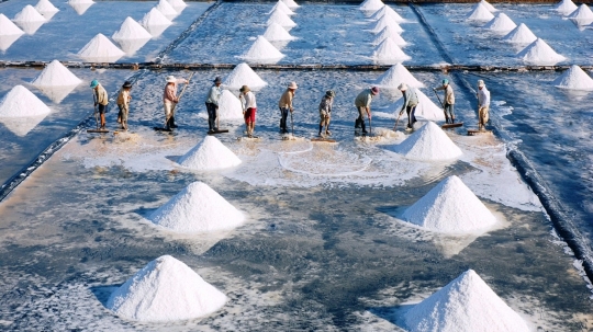 Câu chuyện Bạc Liêu