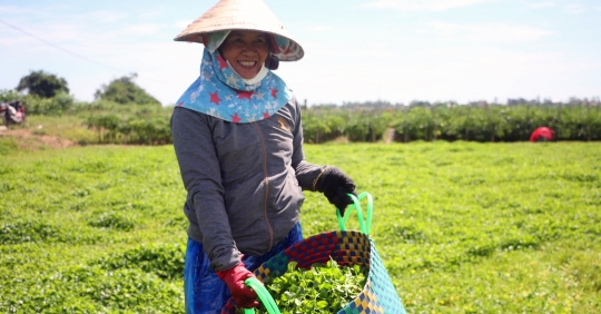 'Chất xúc tác' cho nông nghiệp hữu cơ Thừa Thiên Huế