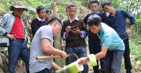 Nhiều sản phẩm của Yên Bái được xác lập quyền nhãn hiệu tập thể