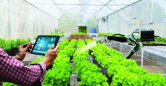 Digital technology in fruit production and export