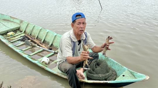 Phát triển kinh tế, bảo vệ môi trường từ mô hình tôm - rừng