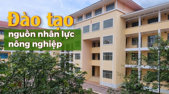 Nơi toàn rừng núi nhưng không ai học ngành lâm nghiệp