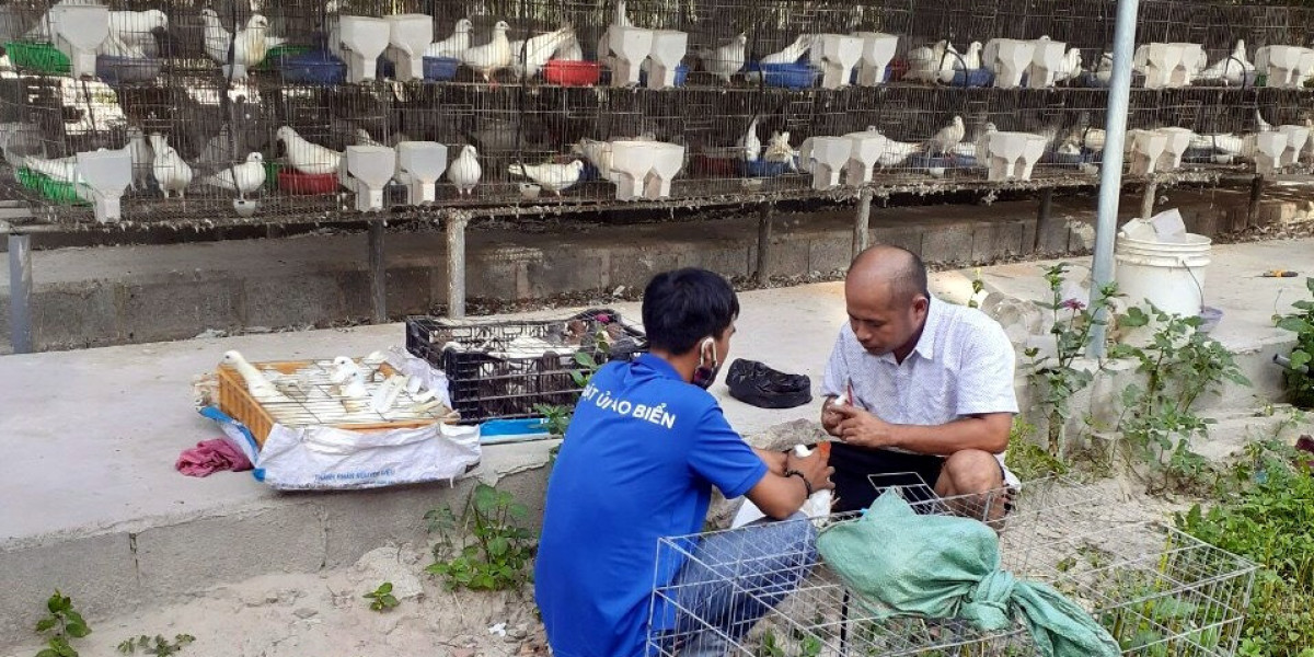 Sáng tạo làm nông nghiệp hữu cơ thời 'bão giá' vật tư