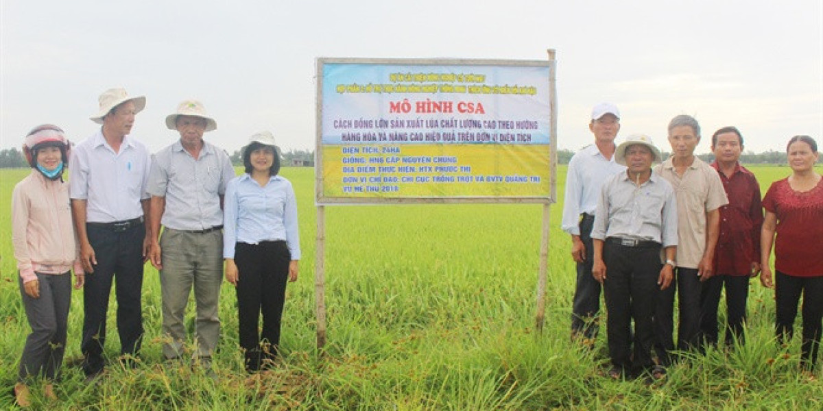 Đột phá trong thâm canh cây lúa