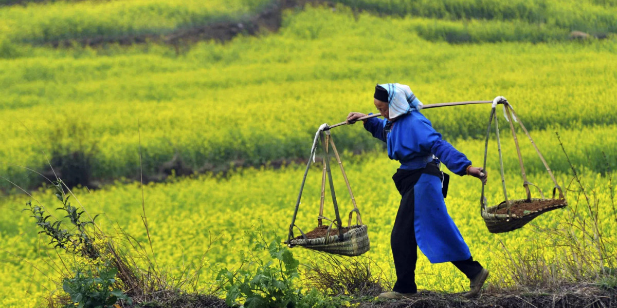 Trung Quốc gặp rủi ro nợ nần để thu hẹp khoảng cách thành thị, nông thôn