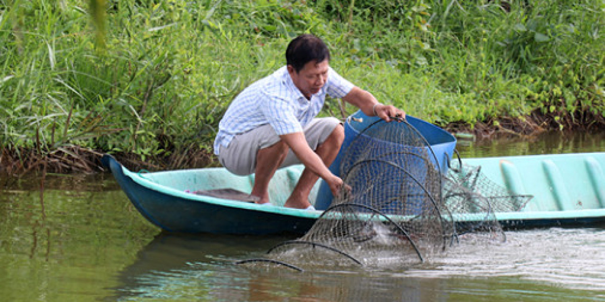 Kiên Giang: Phát triển sản xuất tôm - lúa theo hướng an toàn, bền vững, hiệu quả