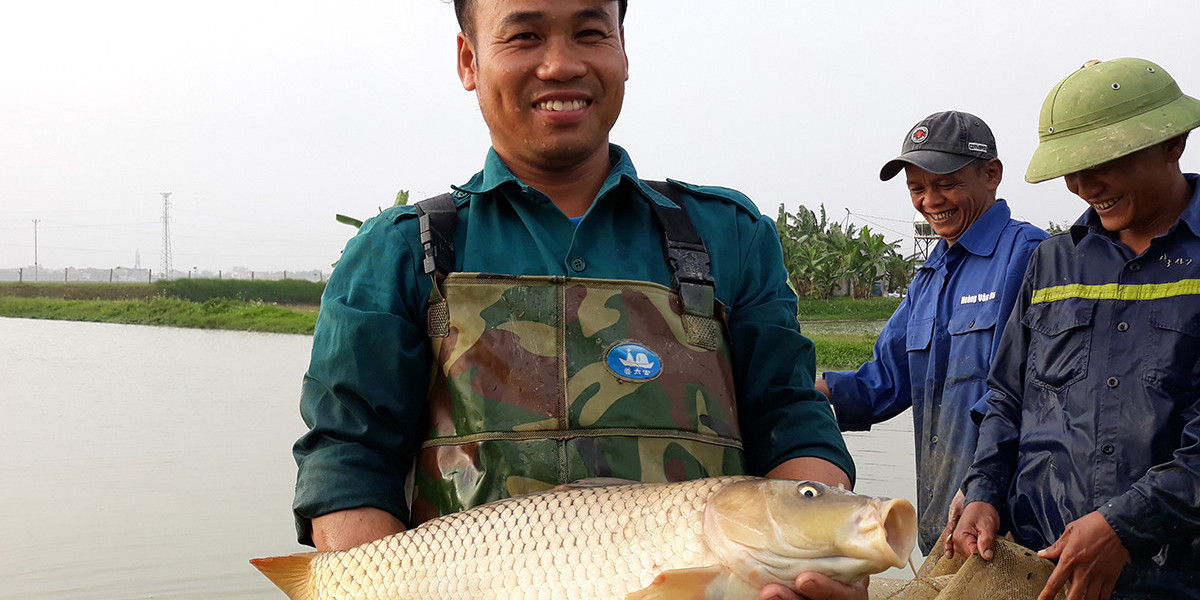 Khuyến nông Nghệ An khai thác hiệu quả nguồn vốn quốc tế