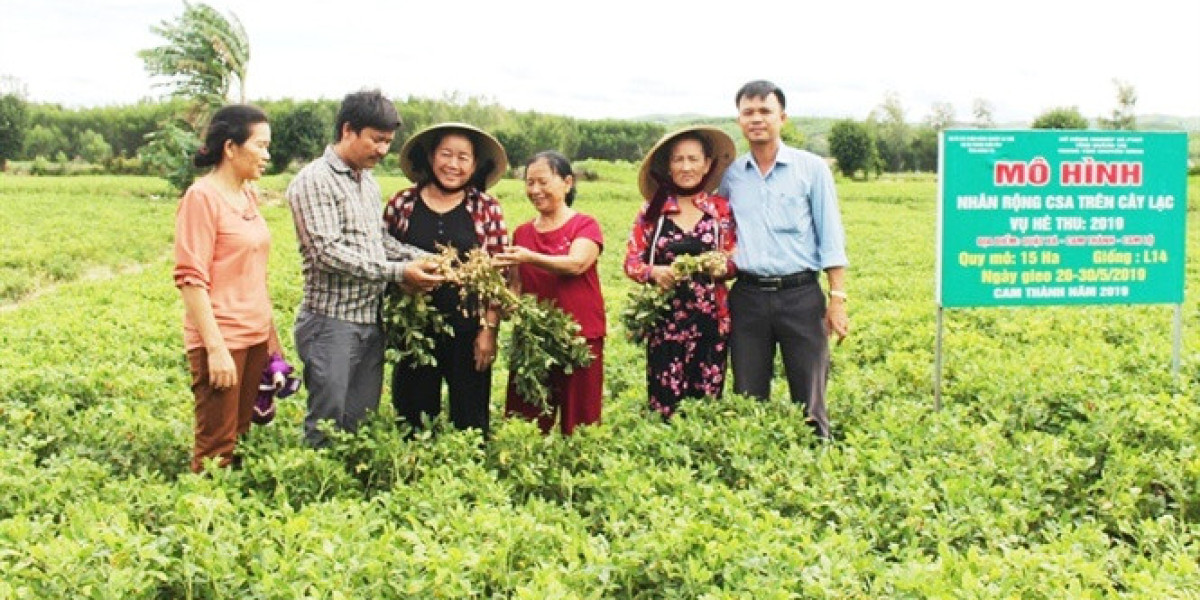 Sản xuất cây trồng cạn áp dụng tưới tiết kiệm: Tối ưu trên cả ba mặt