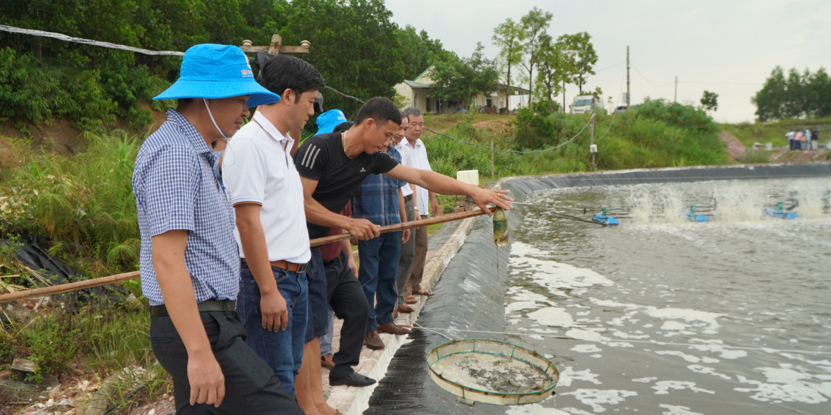 Hợp tác liên kết có vai trò đặc biệt quan trọng đối với ngành tôm