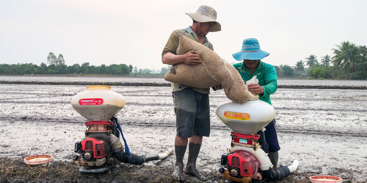 Tăng cường quản lý dịch hại, bảo vệ lúa hè thu 2023 vừa xuống giống