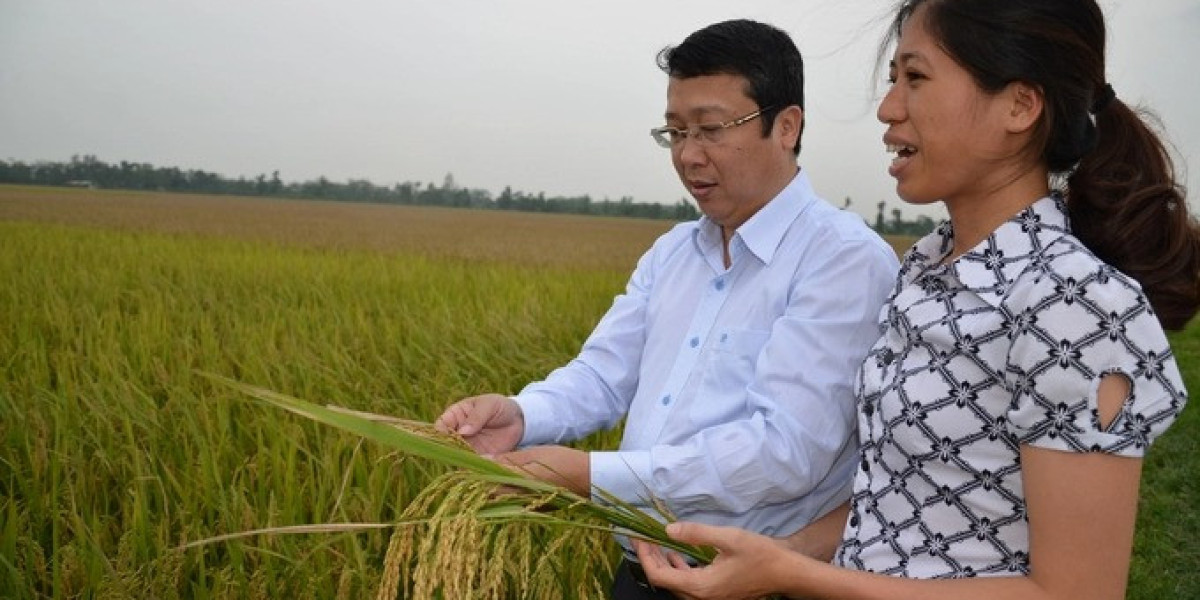 Hà Nội nên khuyến khích tích tụ để làm nông nghiệp an toàn