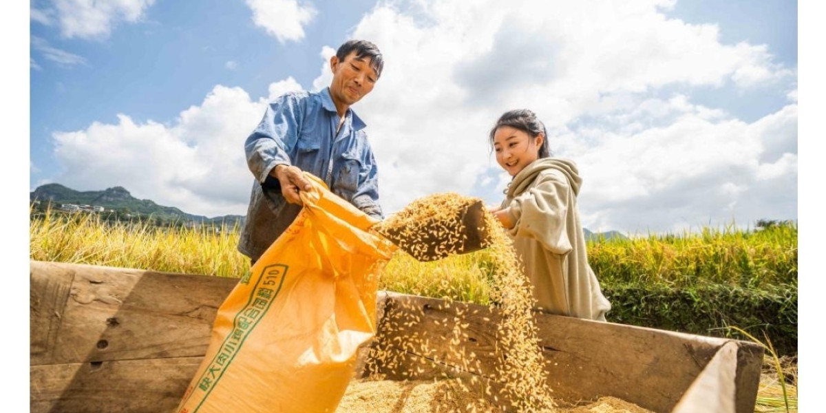 Ngũ cốc Trung Quốc tiếp tục bội thu dù chịu nhiều thiên tai