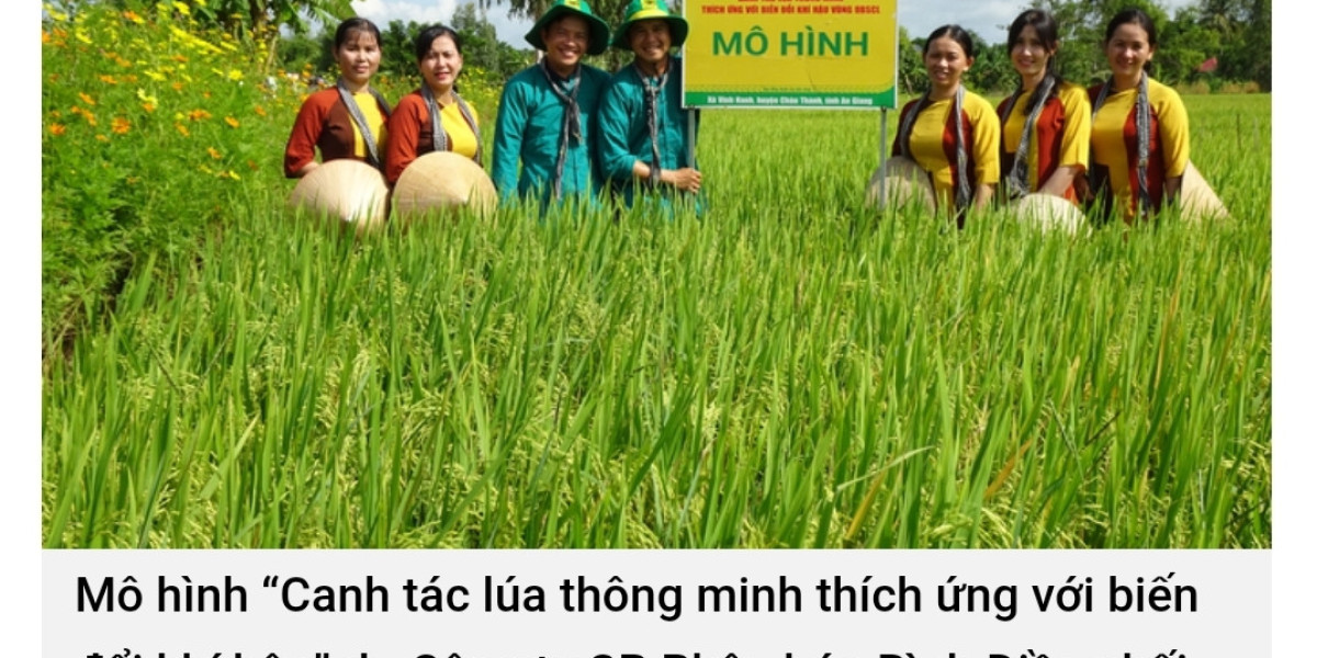 Bình Điền sẵn sàng cho canh tác giảm phát thải, tăng trưởng xanh