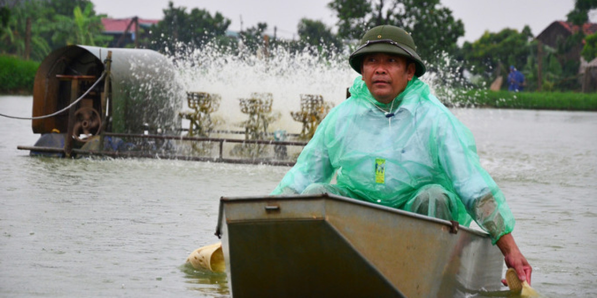 Một ngày ở cái nôi nuôi thủy sản của Thủ đô