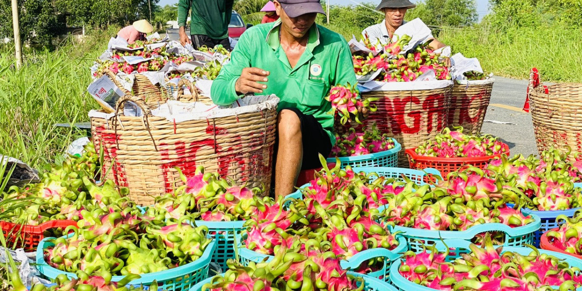 Kiến nghị cho nông dân, doanh nghiệp vay vốn thông qua hợp đồng liên kết