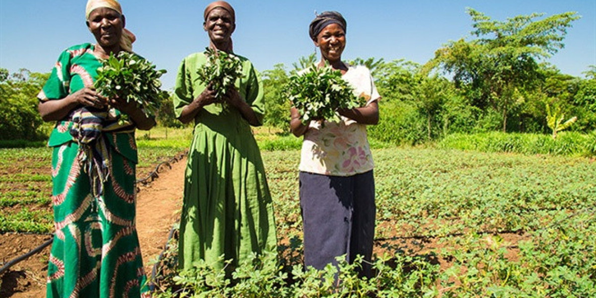 9.000 nông dân Zimbabwe làm nông nghiệp với điện thoại