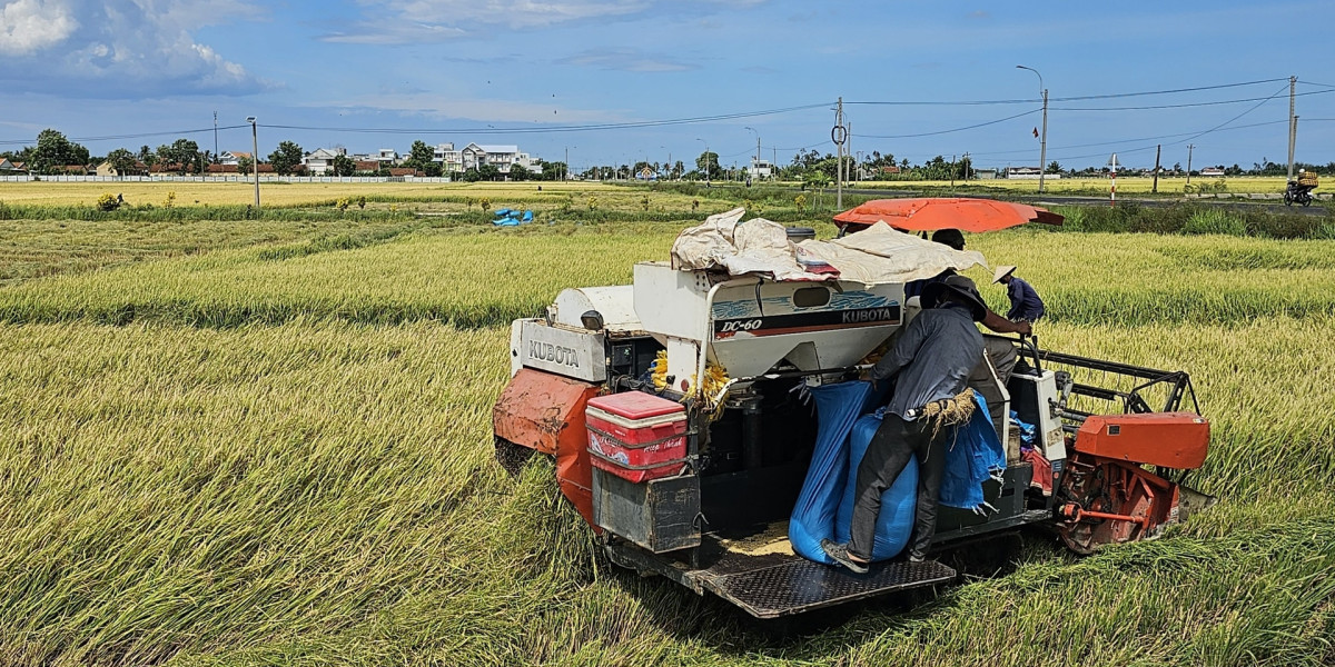 Những vùng không nên sản xuất vụ mùa ở Bình Thuận