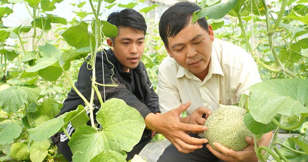 Nhiều mô hình khởi nghiệp của nông dân Đồng Tháp có thu nhập tiền tỷ