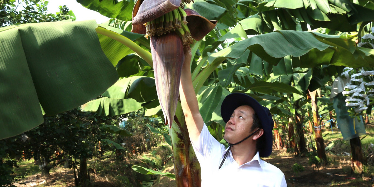 Doanh nhân Phạm Quốc Liêm: 'Trường trong farm' lan tỏa vẻ đẹp nông nghiệp