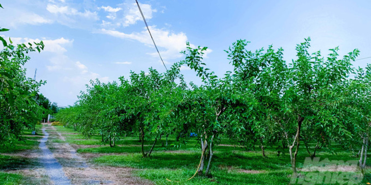 Cỏ dại là bạn, không phải kẻ thù