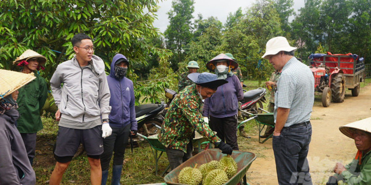 Nông nghiệp tuần hoàn ‘hai cây - một con’ của Bầu Đức