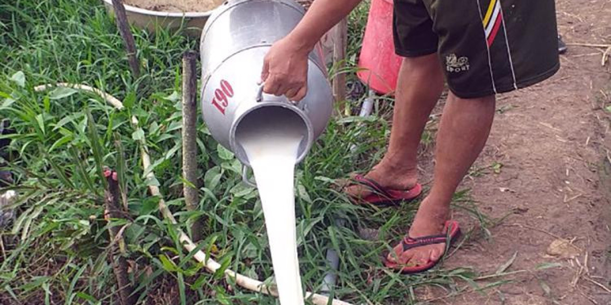 Nông dân Đồng bằng sông Cửu Long khốn đốn vì lúa và trái cây giảm giá