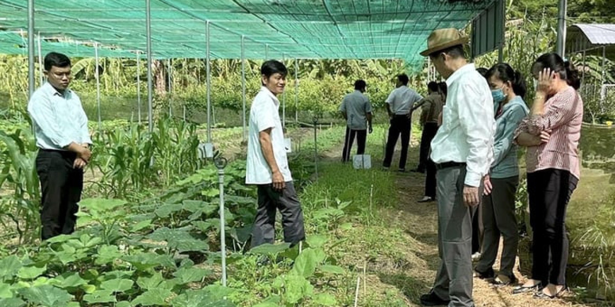 Phát triển nông nghiệp hữu cơ, chậm mà chắc