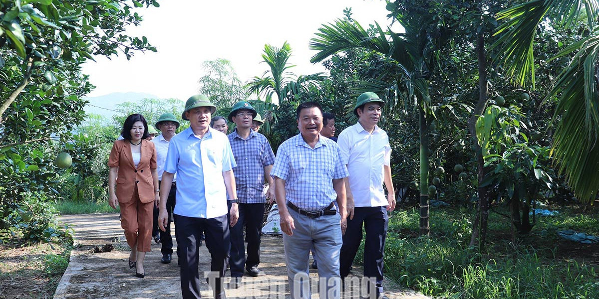 Đoàn công tác tỉnh Phú Thọ tham quan, học tập kinh nghiệm phát triển kinh tế nông nghiệp, nông thôn