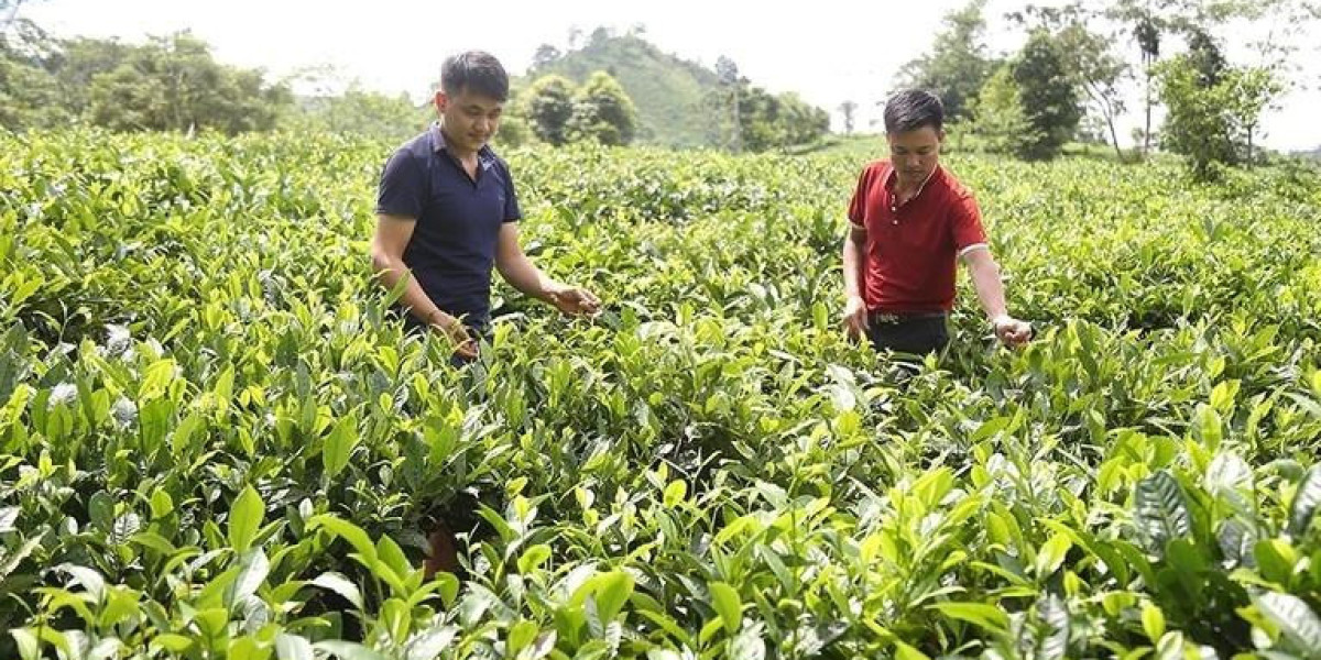 Nông thôn mới trên thung lũng Mường Hum