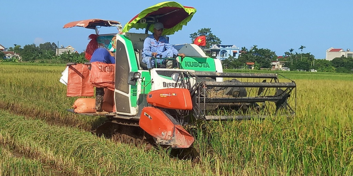 Nông dân xã Đoan Hùng tập trung thu hoạch lúa mùa, trồng cây vụ đông 2023