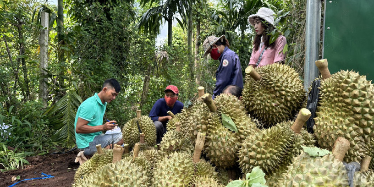 Đồng Nai đi đầu trong xây dựng chuỗi liên kết sản xuất