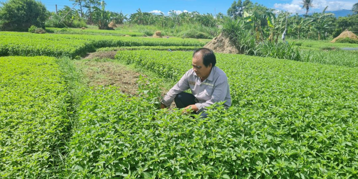 Một cựu chiến binh làm kinh tế giỏi