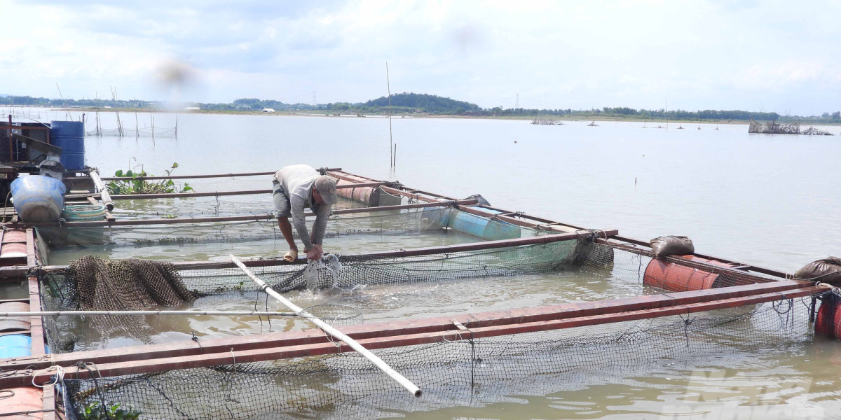 Phát triển nghề nuôi cá lồng bè bền vững: [Bài 1] Sắp xếp lại vùng nuôi tạo hiệu quả đột phá