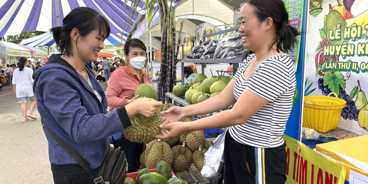 Hỗ trợ hoạt động thu hút đầu tư vùng đồng bào dân tộc thiểu số và miền núi