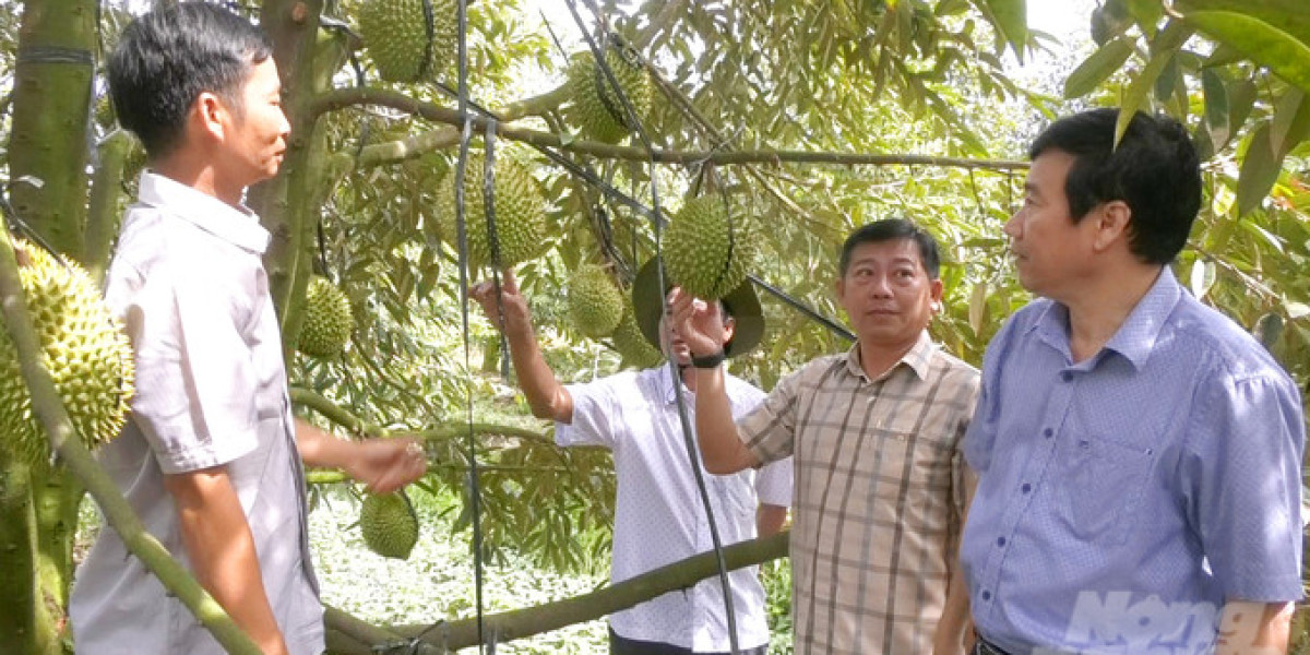 Tam Nông xây dựng nông sản theo chuỗi giá trị ngành hàng