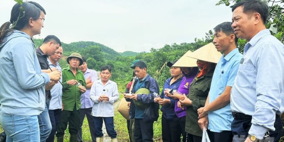 Nuôi 'vệ sỹ' cho vườn cây ăn quả có múi