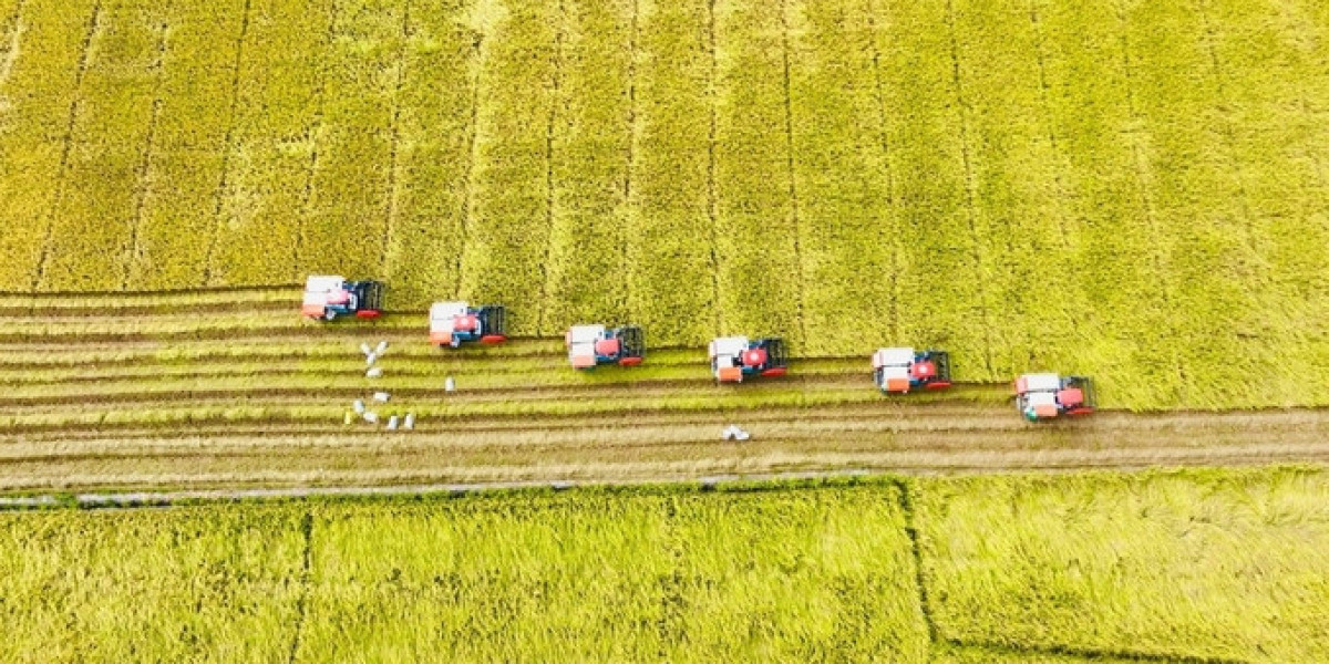 Ngân hàng Thế giới đủ tiềm lực hỗ trợ Việt Nam phát triển lúa gạo