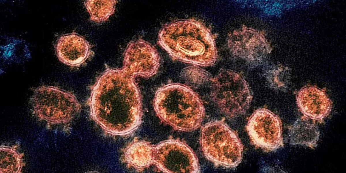 Hợp chất gai dầu có thể ngăn chặn virus Covid-19