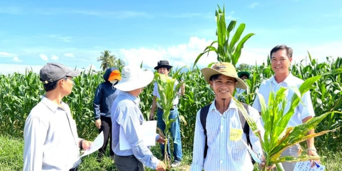 Tập huấn kỹ thuật nông nghiệp chống chịu với biến đổi khí hậu