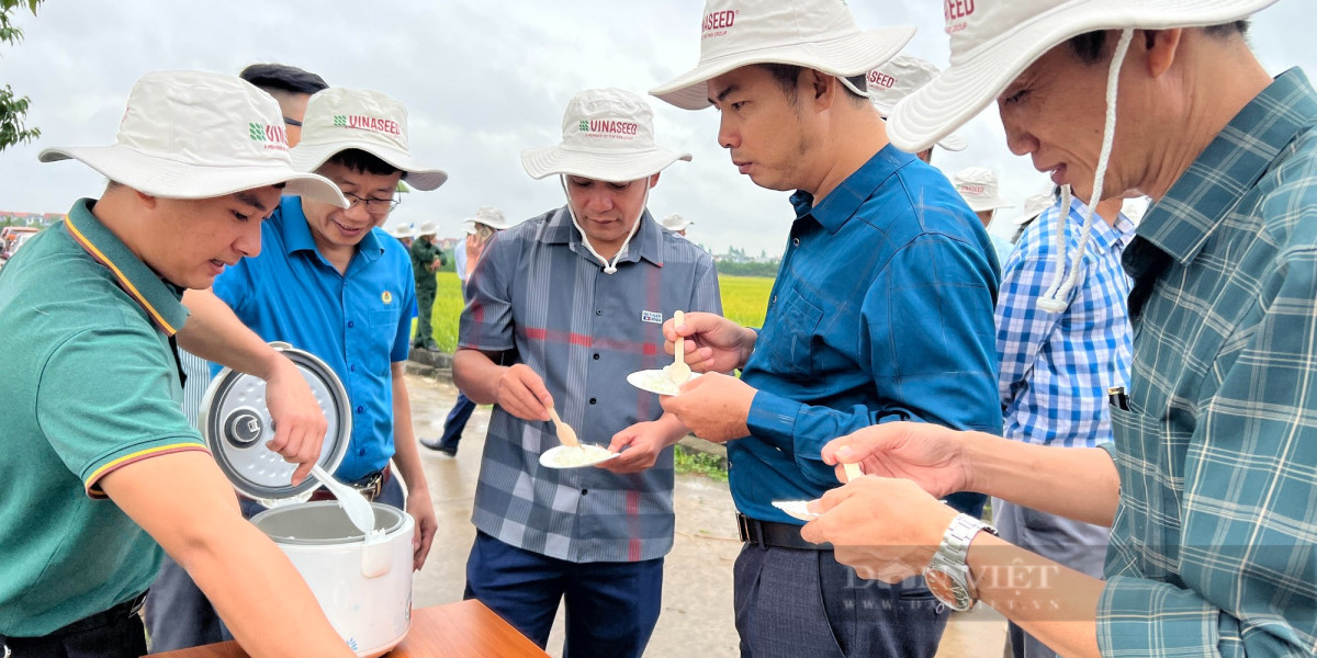 Vì sao giống lúa Đài Thơm 8 được nông dân Bắc Giang ưa chuộng, giá bán lên đến 1 triệu đồng/tạ