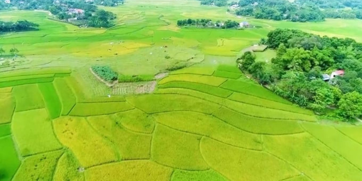 Cánh đồng hết 'khát', nông dân hoan hỉ