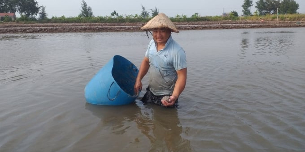 Bống bớp khỏe nhờ chế phẩm gừng, tỏi