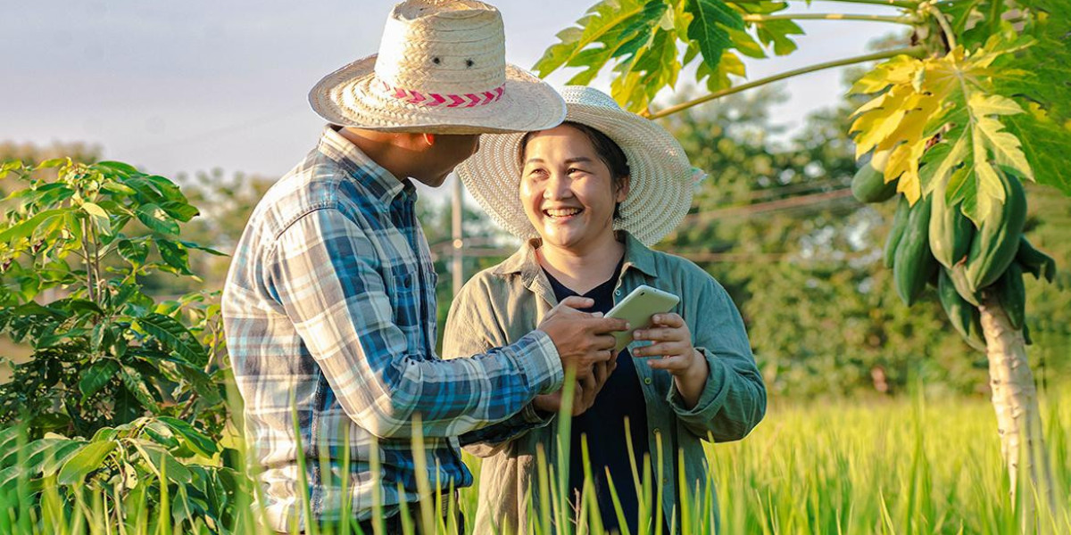 Chuyển đổi số để xây dựng nông thôn mới thông minh